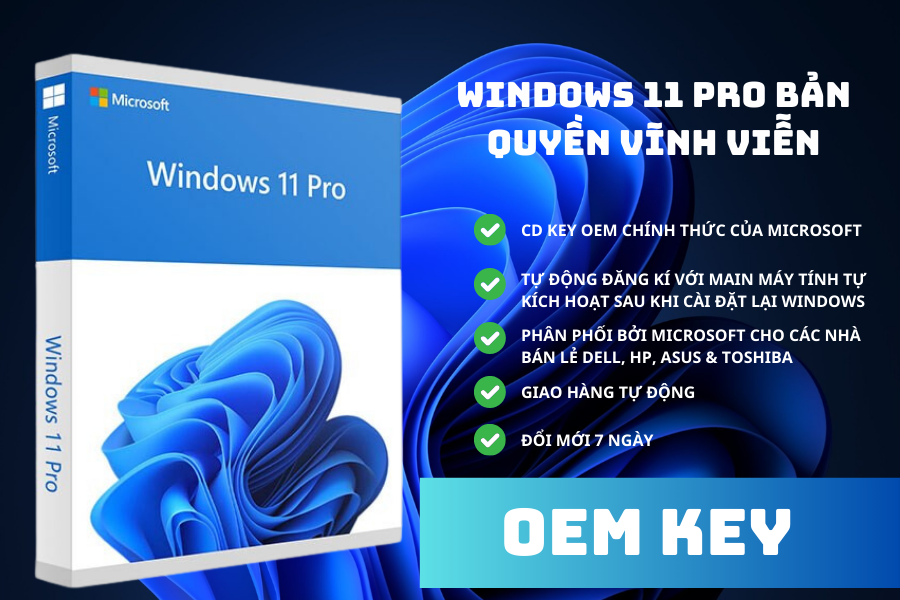 Windows 11 Professional 1PC [OEM]